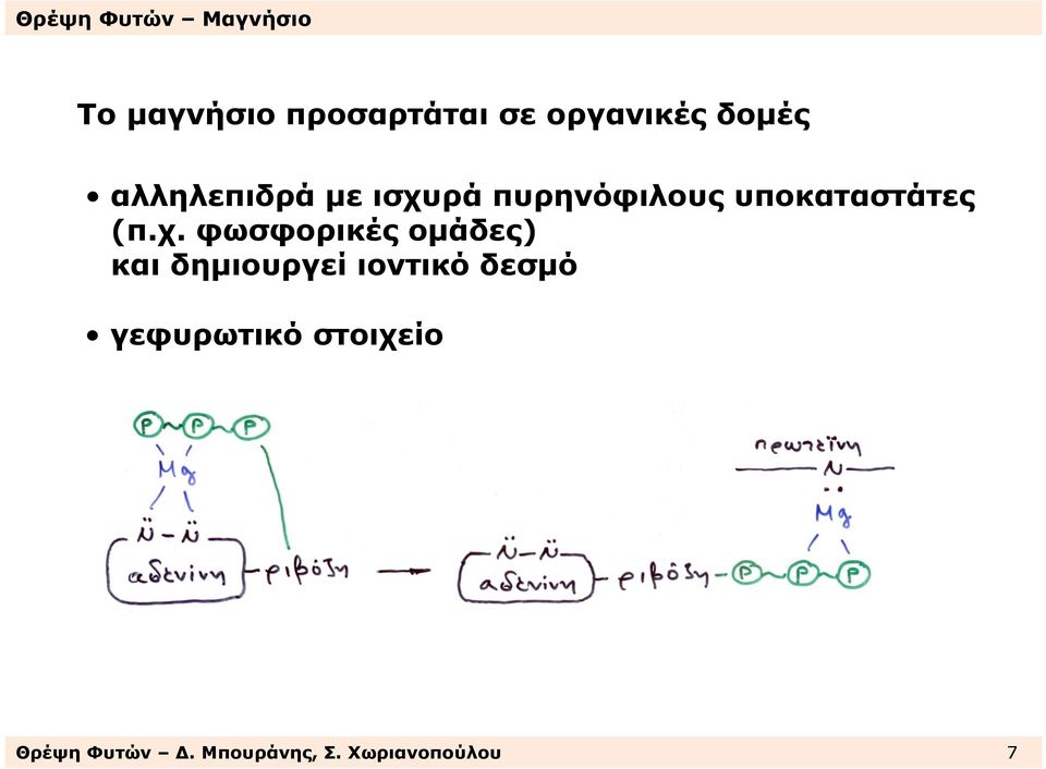 δηµιουργεί ιοντικό δεσµό γεφυρωτικό στοιχείο σχηµατίζει