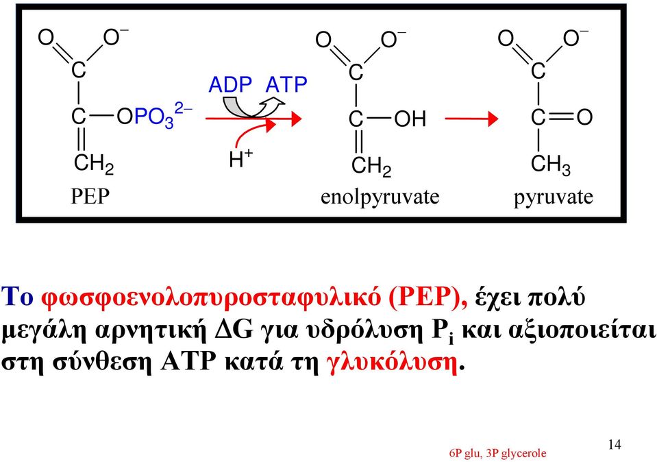 μεγάλη αρνητική ΔG για υδρόλυση P i και αξιοποιείται