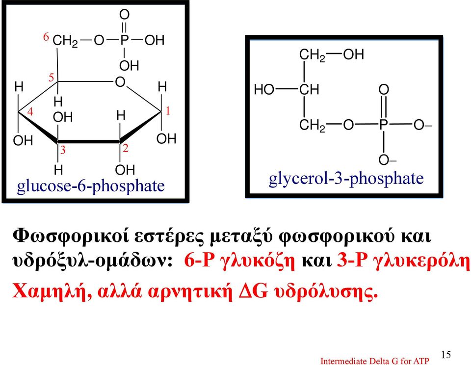 φωσφορικού και υδρόξυλ-ομάδων: 6-Ρ γλυκόζη και 3-Ρ