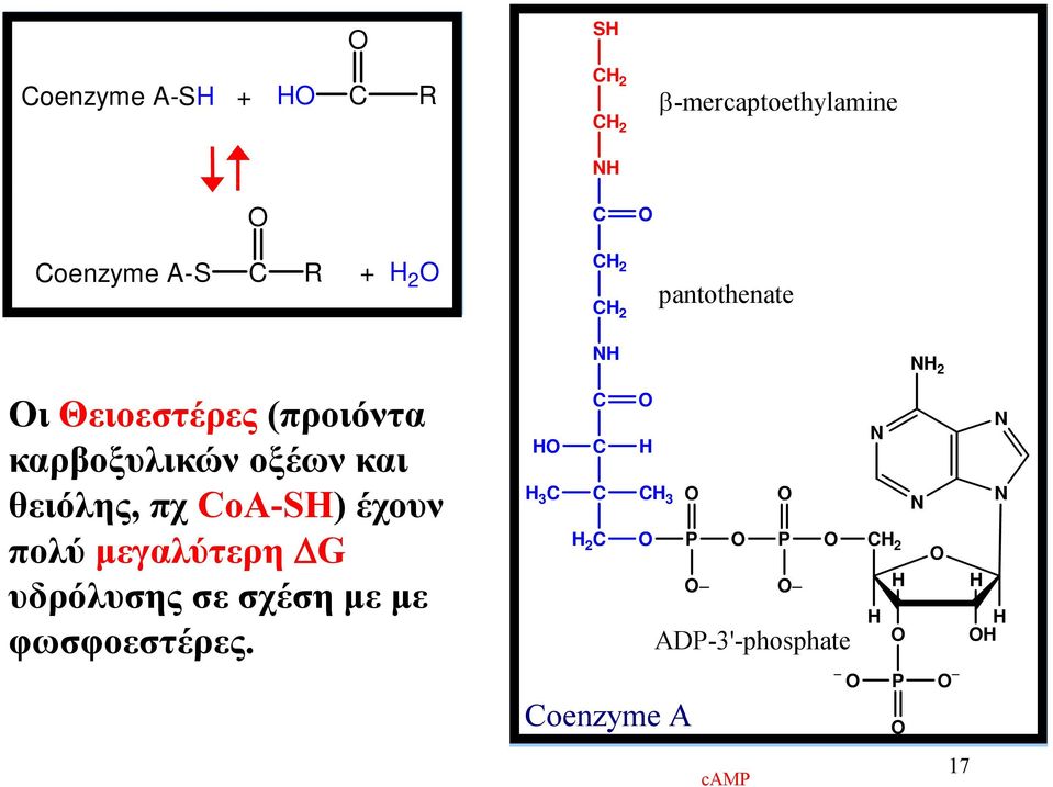 θειόλης, πχ CoA-S) έχουν πολύ μεγαλύτερη ΔG υδρόλυσης σε σχέση ημε με