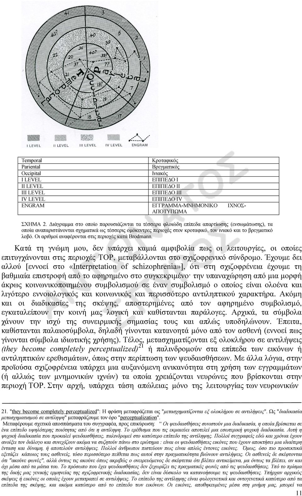 λοβό. Οι αριθµοί αναφέρονται στις περιοχές κατά Brodmann.