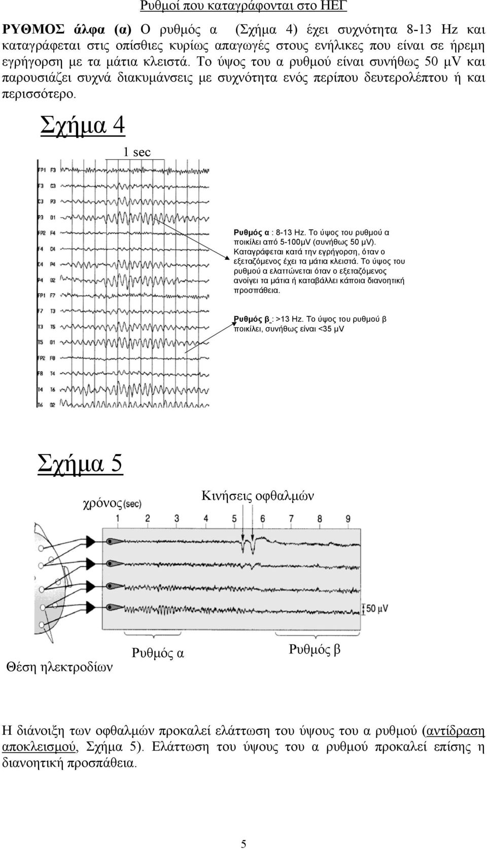 Το ύψος του ρυθµού α ποικίλει από 5-100µV (συνήθως 50 µv). Καταγράφεται κατά την εγρήγορση, όταν ο εξεταζόµενος έχει τα µάτια κλειστά.