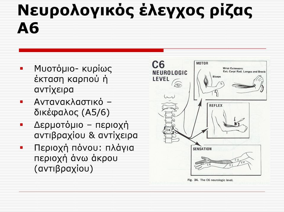 (Α5/6) Δεξκνηόκην πεξηνρή αληηβξαρίνπ & αληίρεηξα