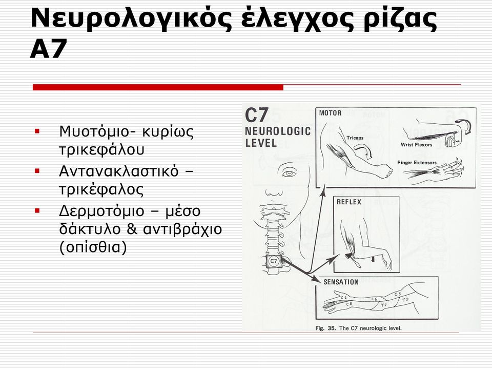 Αληαλαθιαζηηθό ηξηθέθαινο