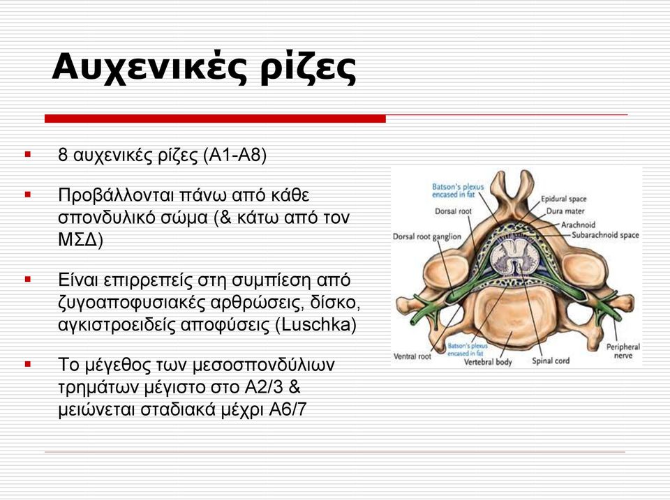 δπγναπνθπζηαθέο αξζξψζεηο, δίζθν, αγθηζηξνεηδείο απνθχζεηο (Luschka) Σν