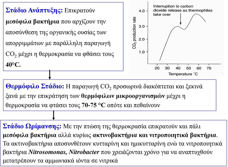 και πεθαίνουν Στάδιο Ωρίμανσης: Με την πτώση της θερμοκρασία επικρατούν και πάλι μεσόφιλα βακτήρια αλλά κυρίως ακτινοβακτήρια και νιτροποιητικά βακτήρια.