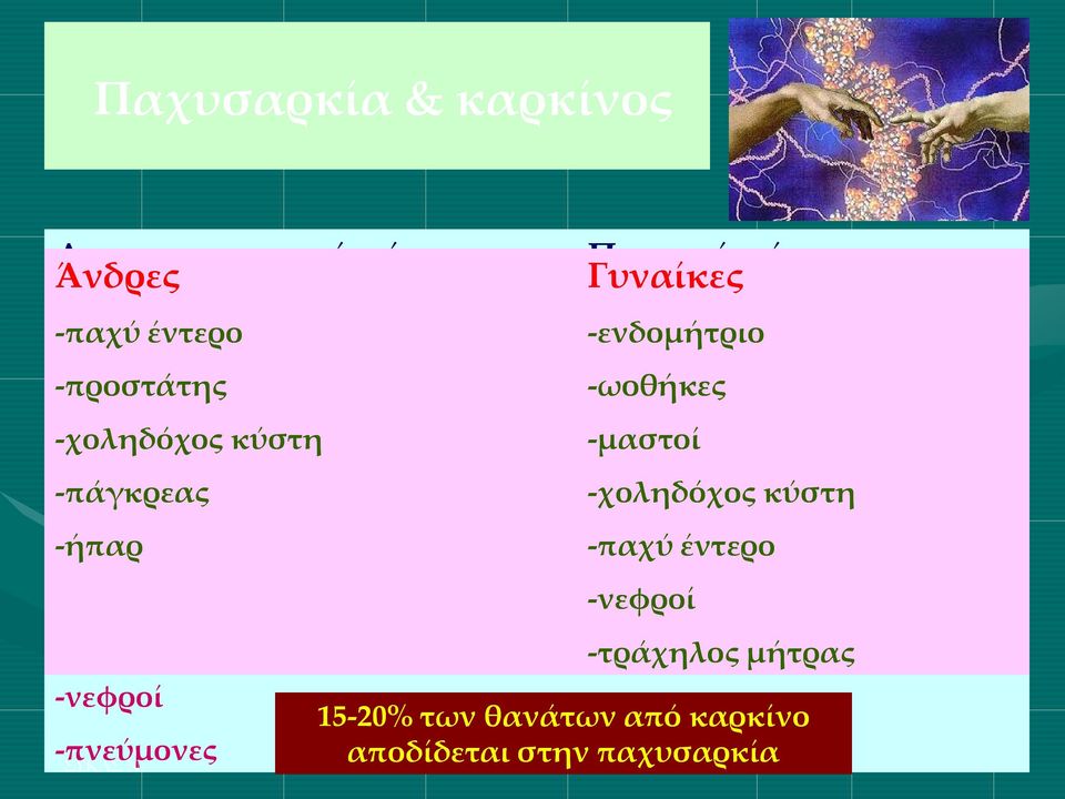 Γυναίκες -παχύ έντερο -ενδομήτριο -οισοφάγος -ωοθήκες -χοληδόχος κύστη -μαστοί -πάγκρεας -χοληδόχος