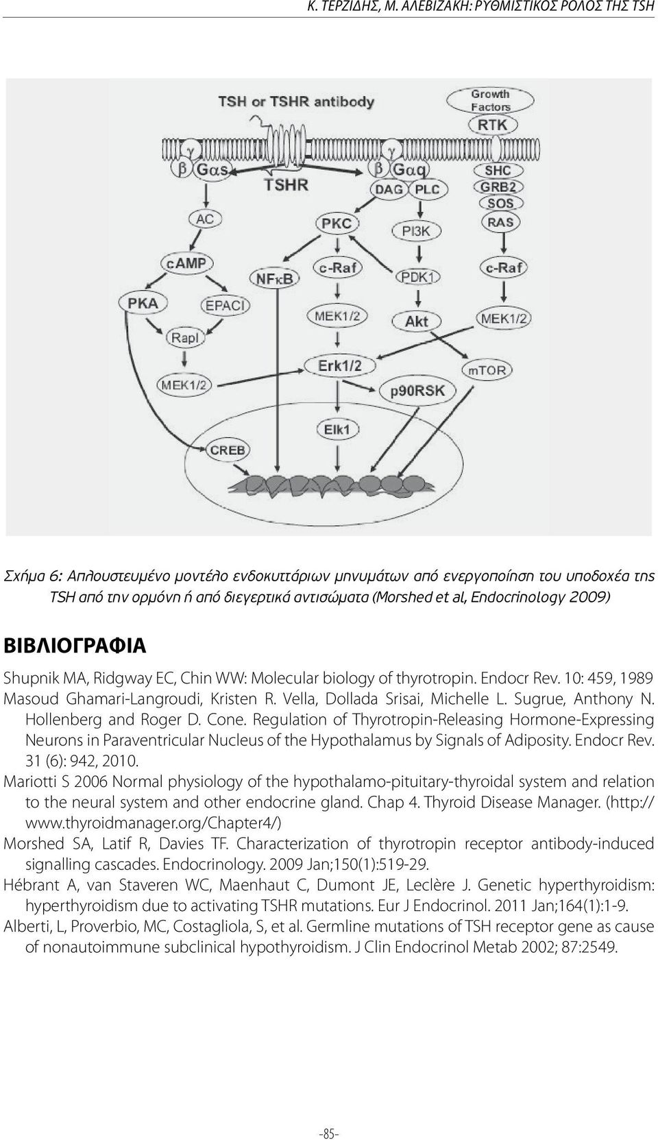 Endocrinology 2009) ΒΙΒΛΙΟΓΡΑΦΙΑ Shupnik MA, Ridgway EC, Chin WW: Molecular biology of thyrotropin. Endocr Rev. 10: 459, 1989 Masoud Ghamari-Langroudi, Kristen R. Vella, Dollada Srisai, Michelle L.