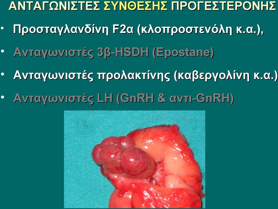 λανδίνη F2α (κλοπροστενόλη κ.α.), Ανταγωνιστές