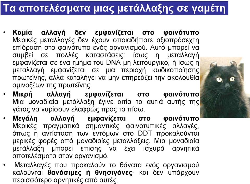 μην επηρεάζει την ακολουθία αμινοξέων της πρωτεΐνης. Μικρή αλλαγή εμφανίζεται στο φαινότυπο Μια μοναδιαία μετάλλαξη έγινε αιτία τα αυτιά αυτής της γάτας να γυρίσουν ελαφρώς προς τα πίσω.