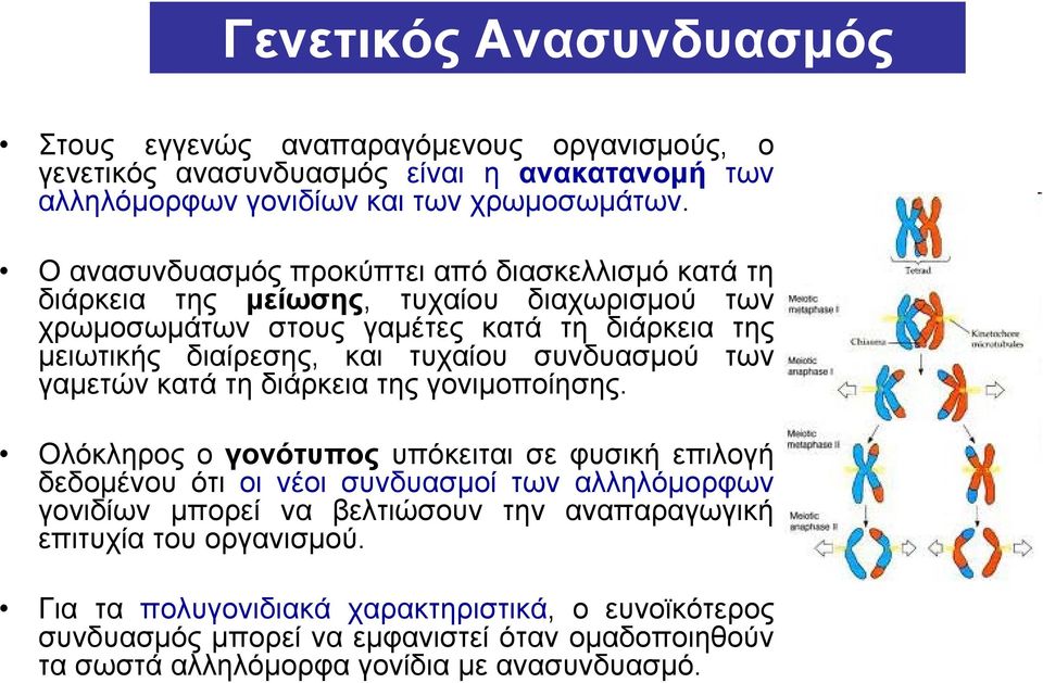συνδυασμού των γαμετών κατά τη διάρκεια της γονιμοποίησης.
