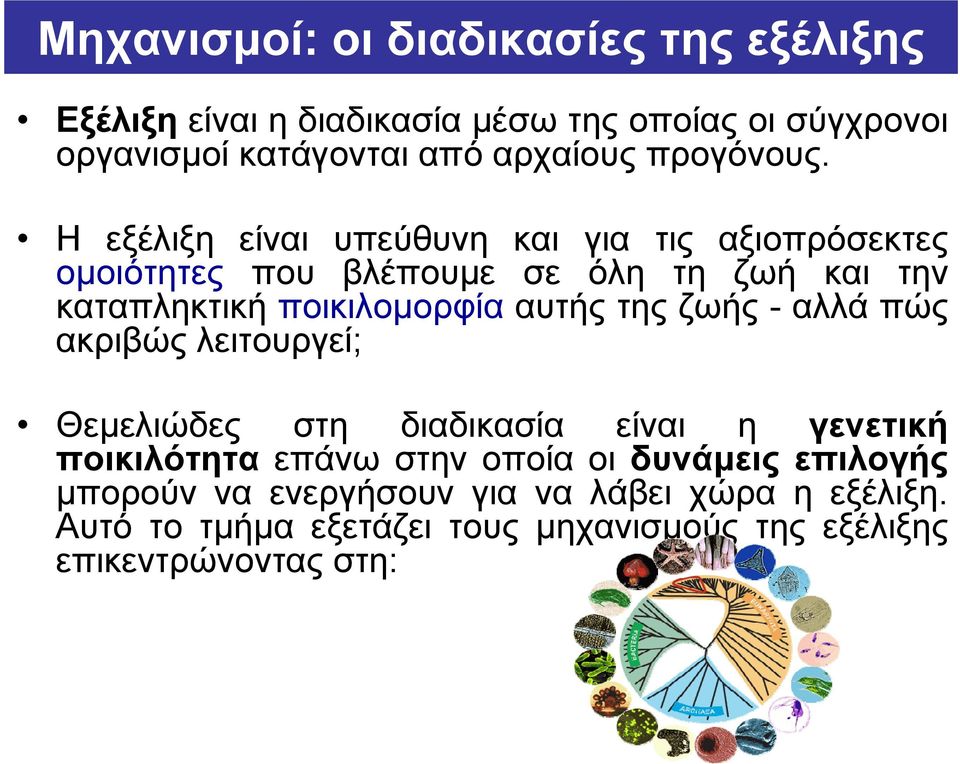 Η εξέλιξη είναι υπεύθυνη και για τις αξιοπρόσεκτες ομοιότητες που βλέπουμε σε όλη τη ζωή και την καταπληκτική ποικιλομορφία αυτής
