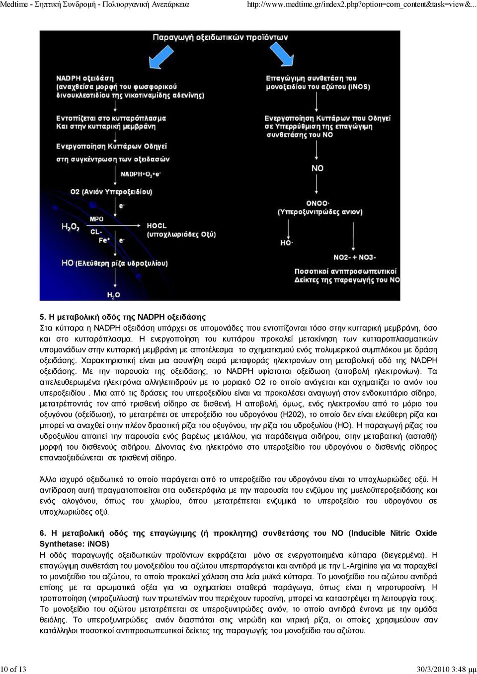 Χαρακτηριστική είναι μια ασυνήθη σειρά μεταφοράς ηλεκτρονίων στη μεταβολική οδό της NADPH οξειδάσης. Με την παρουσία της οξειδάσης, το NADPH υφίσταται οξείδωση (αποβολή ηλεκτρονίων).