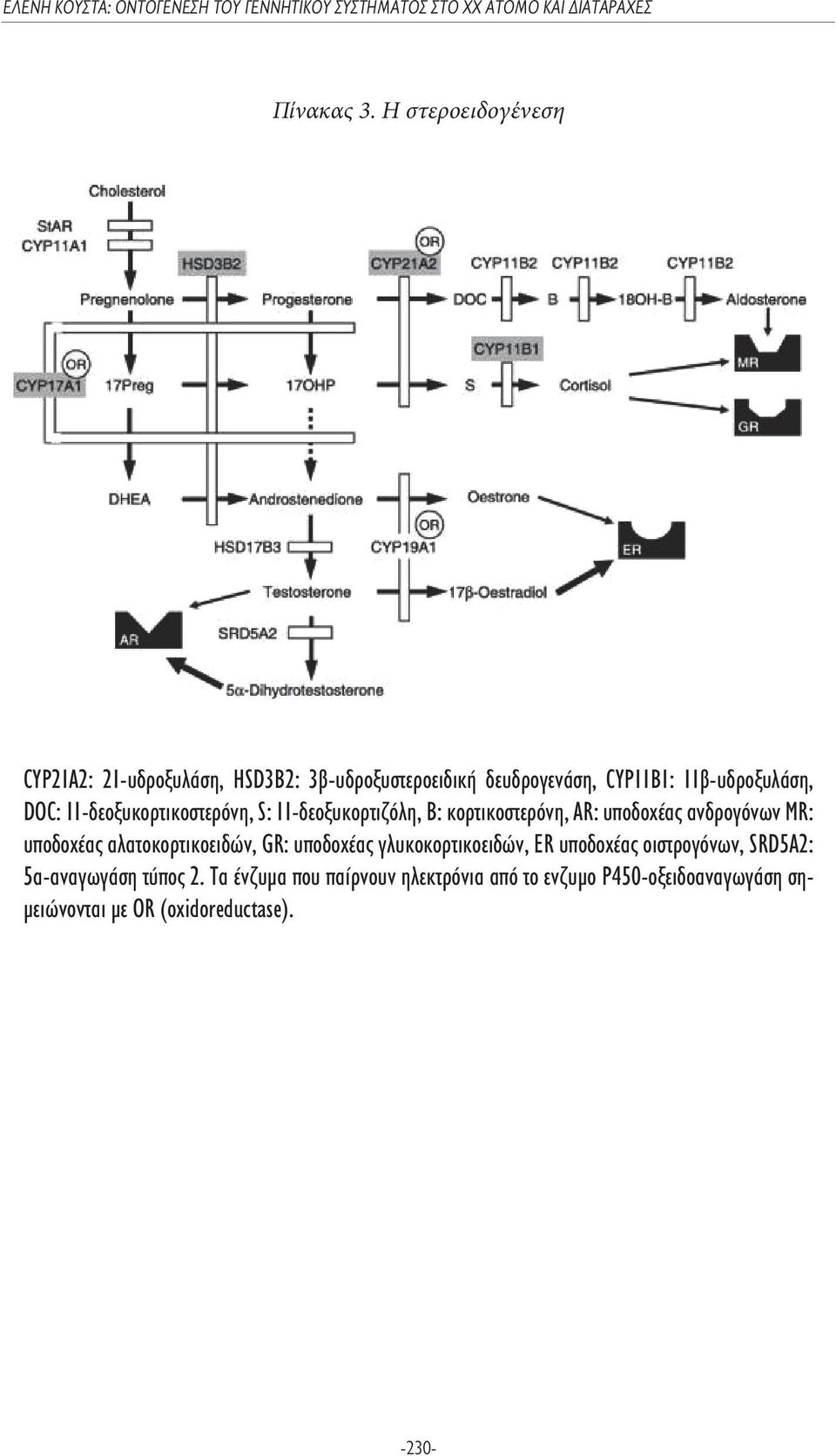 DOC: 11-δεοξυκορτικοστερόνη, S: 11-δεοξυκορτιζόλη, B: κορτικοστερόνη, AR: υποδοχέας ανδρογόνων MR: υποδοχέας