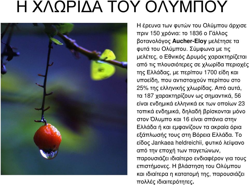 Από αυτά, τα 187 χαρακτηρίζουν ως σηµαντικά, 56 είναι ενδηµικά ελληνικά εκ των οποίων 23 τοπικά ενδηµικά, δηλαδή βρίσκονται µόνο στον Όλυµπο και 16 είναι σπάνια στην Ελλάδα ή και εµφανίζουν τα ακραία