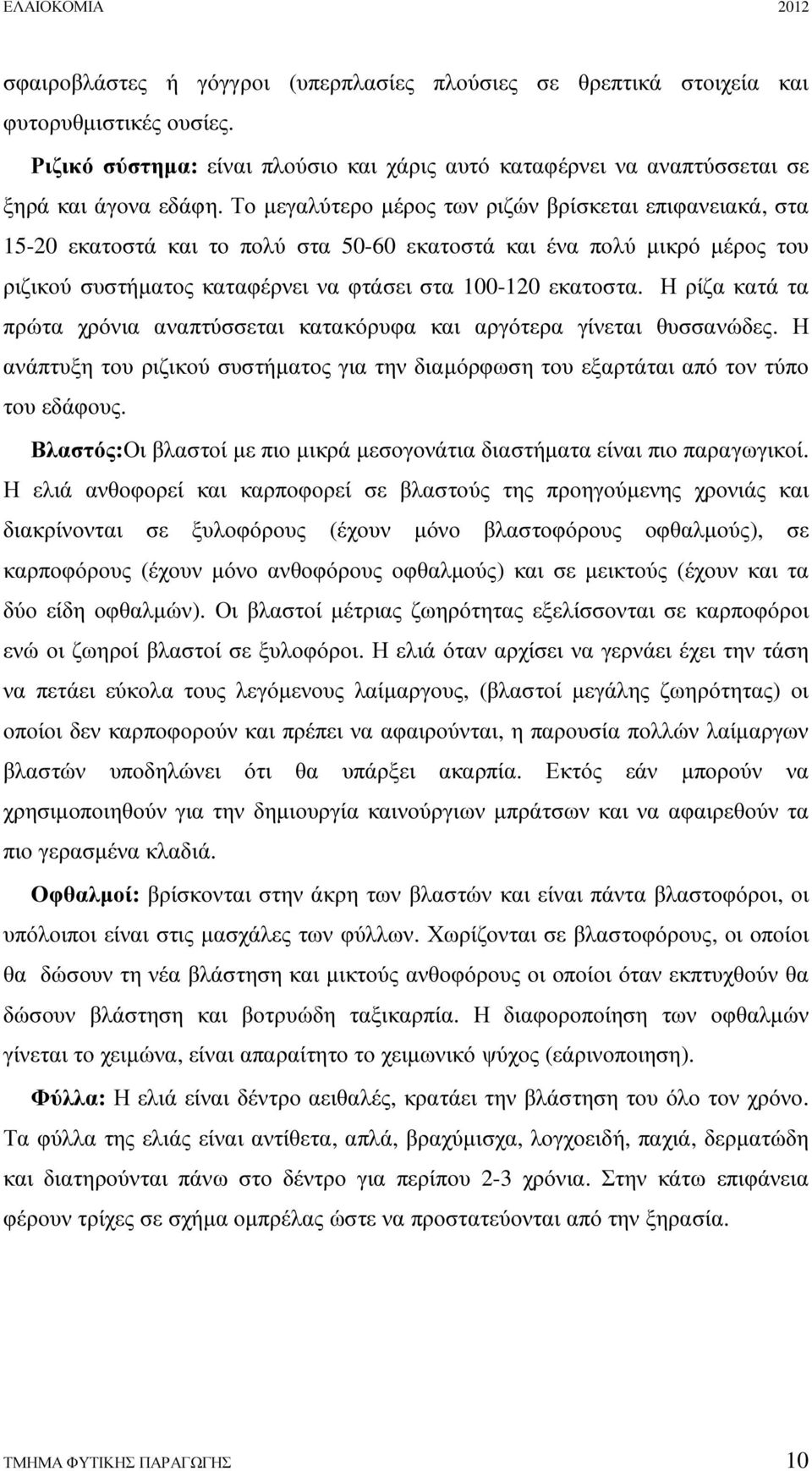 Η ρίζα κατά τα πρώτα χρόνια αναπτύσσεται κατακόρυφα και αργότερα γίνεται θυσσανώδες. Η ανάπτυξη του ριζικού συστήµατος για την διαµόρφωση του εξαρτάται από τον τύπο του εδάφους.