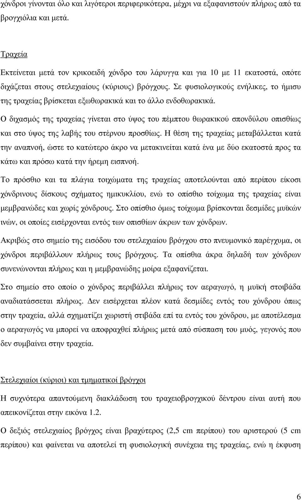 Σε φυσιολογικούς ενήλικες, το ήµισυ της τραχείας βρίσκεται εξωθωρακικά και το άλλο ενδοθωρακικά.