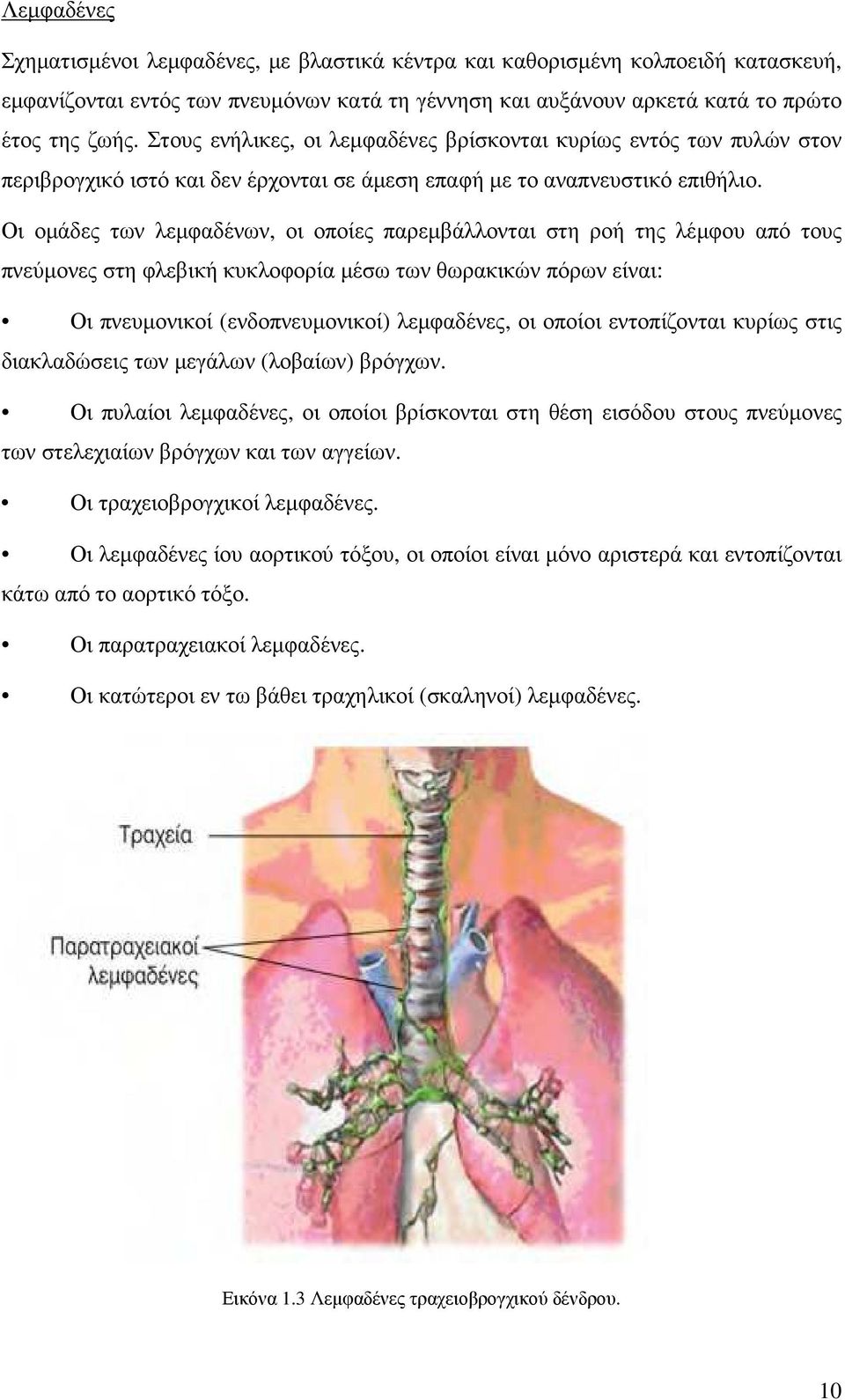 Οι οµάδες των λεµφαδένων, οι οποίες παρεµβάλλονται στη ροή της λέµφου από τους πνεύµονες στη φλεβική κυκλοφορία µέσω των θωρακικών πόρων είναι: Οι πνευµονικοί (ενδοπνευµονικοί) λεµφαδένες, οι οποίοι