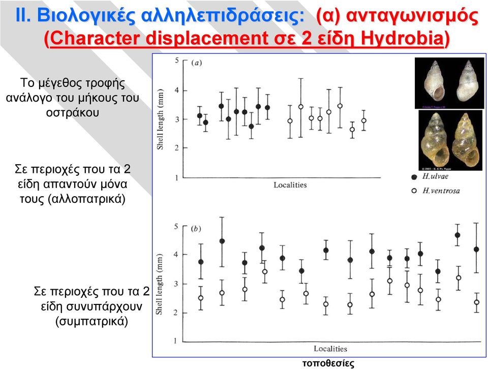 μήκους του οστράκου Σε περιοχές που τα 2 είδη απαντούν μόνα τους