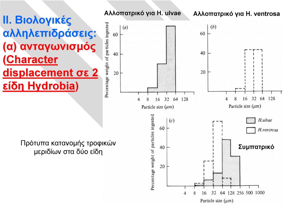 Αλλοπατρικό για H. ulvae Αλλοπατρικό για H.