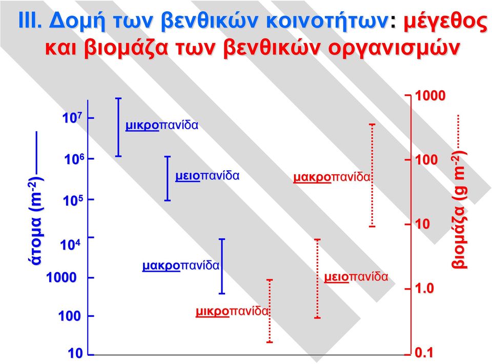 ) 10 6 10 5 10 4 1000 μειοπανίδα μακροπανίδα μακροπανίδα