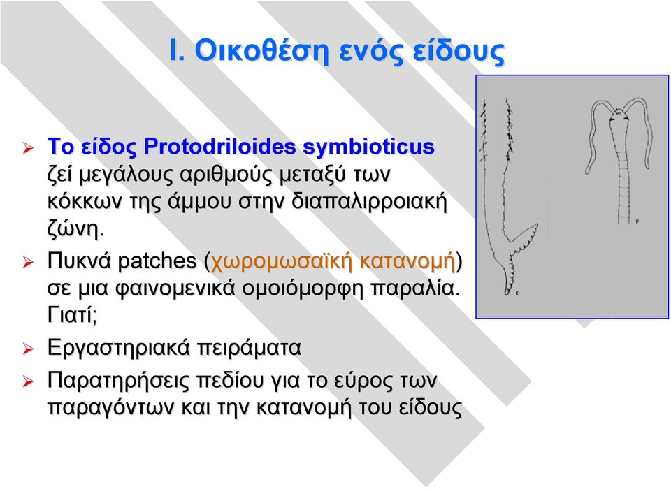 Πυκνά patches (χωρομωσαϊκή κατανομή) σε μια φαινομενικά ομοιόμορφη παραλία.