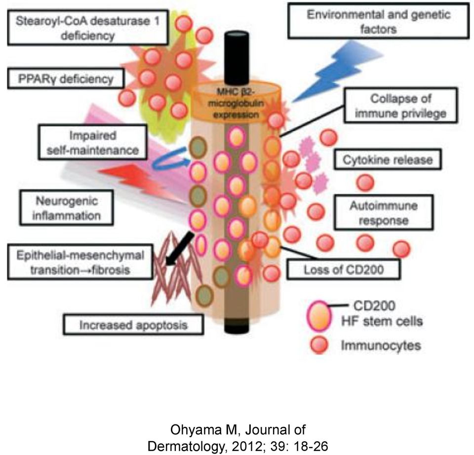 Dermatology,