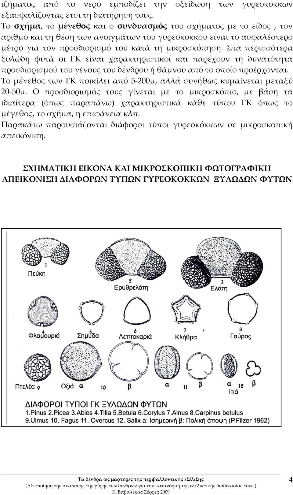 Στα περισσότερα ξυλώδη φυτά οι ΓΚ είναι χαρακτηριστικοί και παρέχουν τη δυνατότητα προσδιορισμού του γένους του δένδρου ή θάμνου από το οποίο προέρχονται.