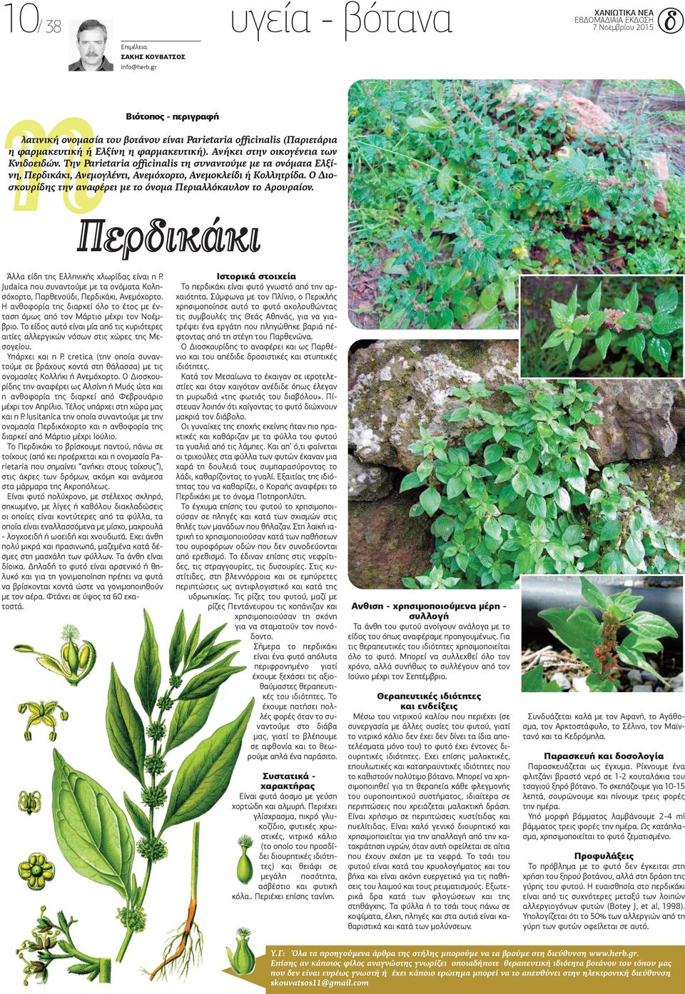 Την Parietaria officinalis τη συναντούμε με τα ονόματα Ελξίνη, Περδικάκι, Ανεμογλέντι, Ανεμόχορτο, Ανεμοκλείδι ή Κολλητρίδα. Ο Διοσκουρίδης την αναφέρει με το όνομα Περιαλλόκαυλον το Αρουραίον.