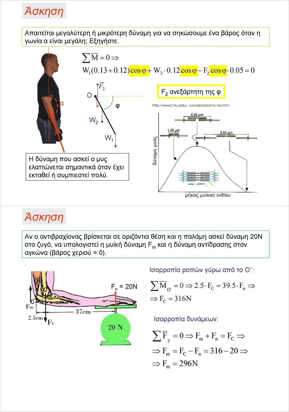 Άσκηση Αν ο αντιβραχίονας βρίσκεται σε οριζόντια θέση και η παλάμη ασκεί δύναμη 0Ν στο ζυγό, να υπολογιστεί η μυϊκή δύναμη m και η