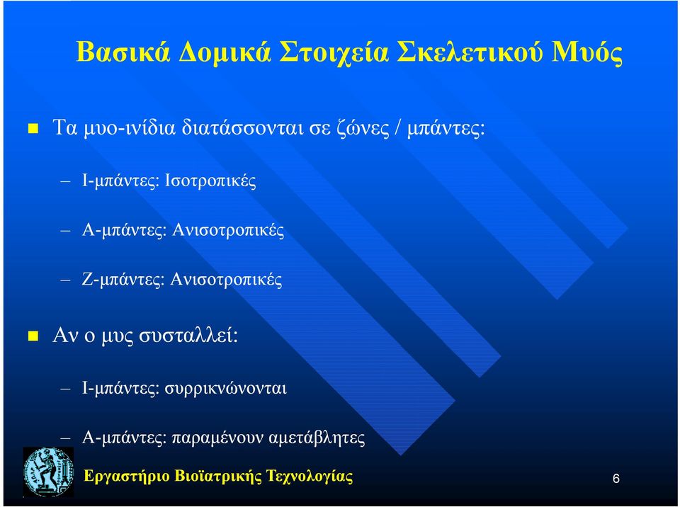 Ζ-μπάντες: Ανισοτροπικές Αν ο μυς συσταλλεί: Ι-μπάντες: : συρρικνώνονται