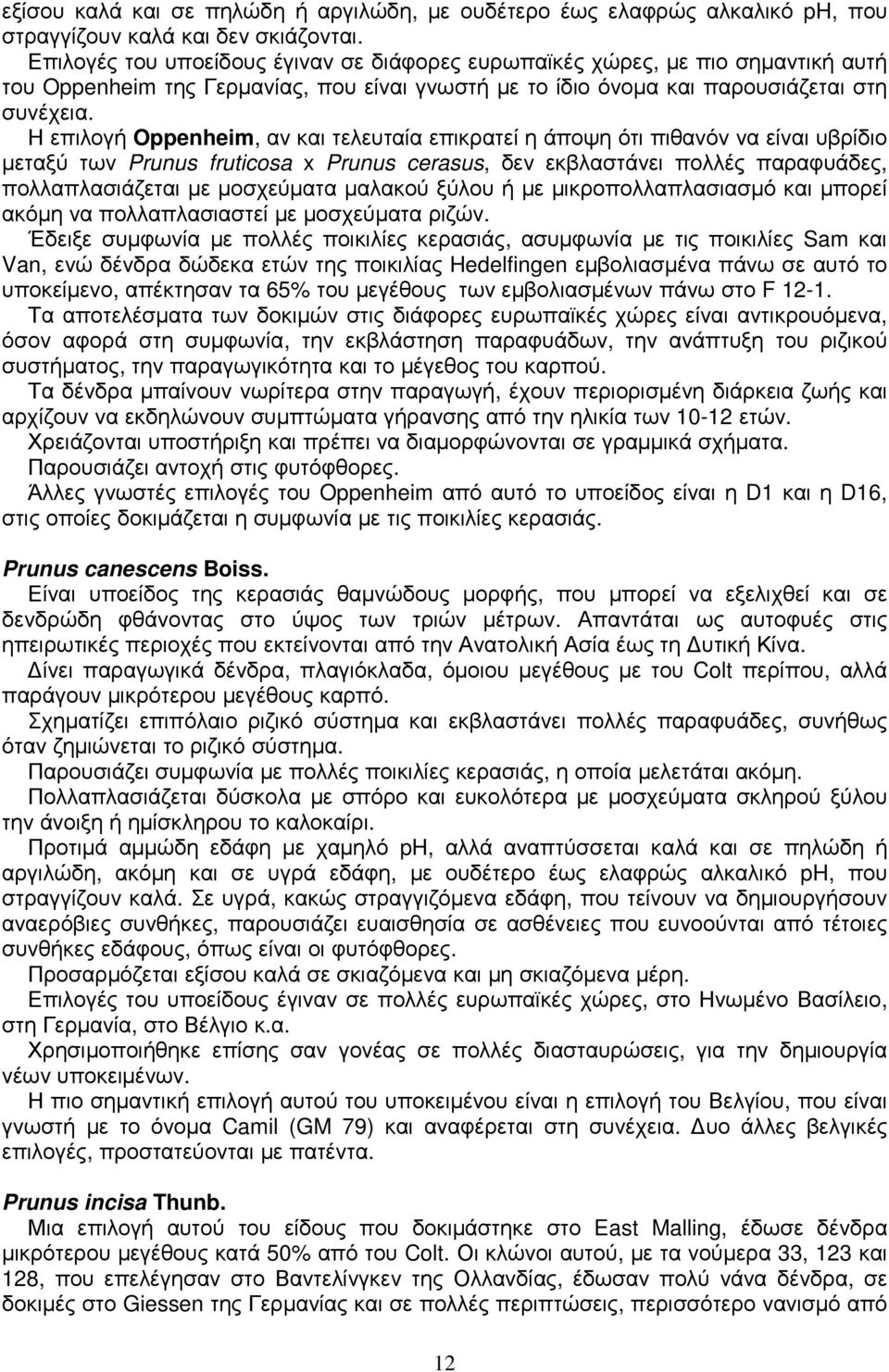 Η επιλογή Oppenheim, αν και τελευταία επικρατεί η άποψη ότι πιθανόν να είναι υβρίδιο µεταξύ των Prunus fruticosa x Prunus cerasus, δεν εκβλαστάνει πολλές παραφυάδες, πολλαπλασιάζεται µε µοσχεύµατα