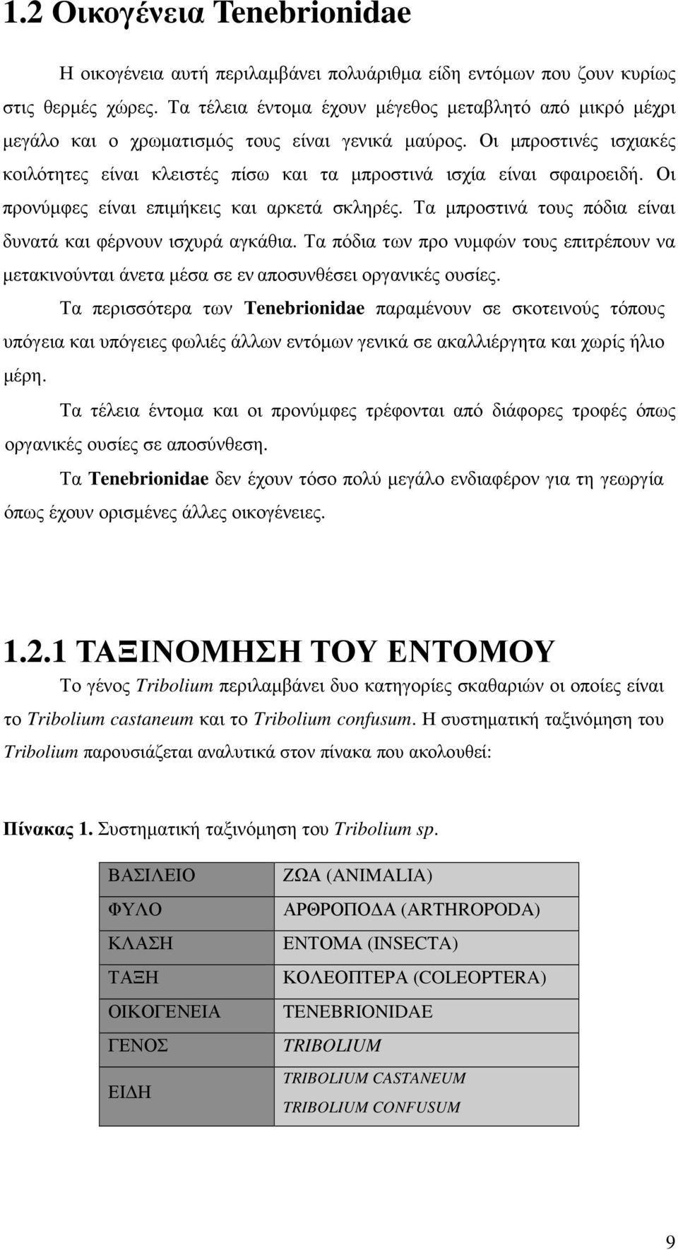 Οι µπροστινές ισχιακές κοιλότητες είναι κλειστές πίσω και τα µπροστινά ισχία είναι σφαιροειδή. Οι προνύµφες είναι επιµήκεις και αρκετά σκληρές.