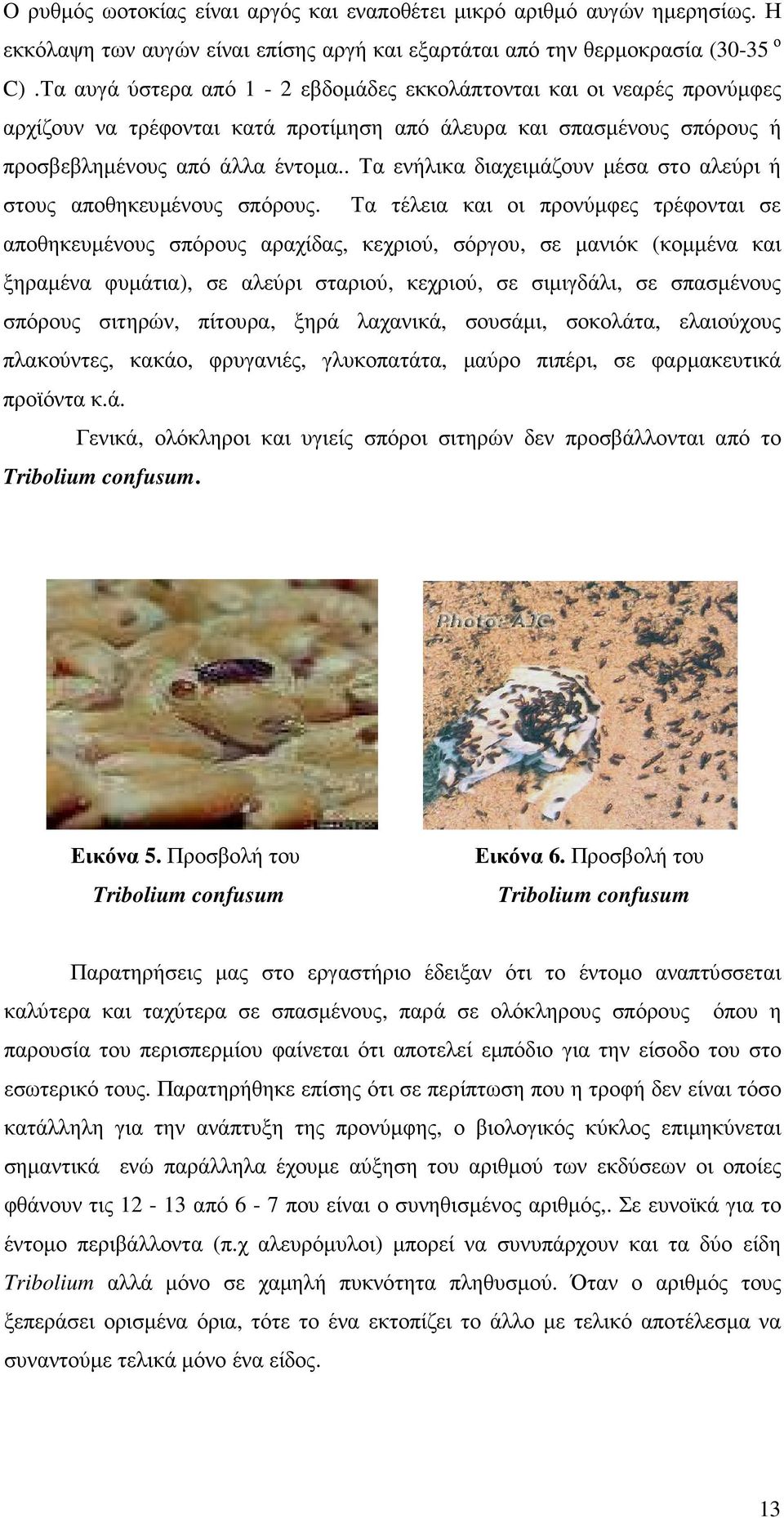 . Τα ενήλικα διαχειµάζουν µέσα στο αλεύρι ή στους αποθηκευµένους σπόρους.
