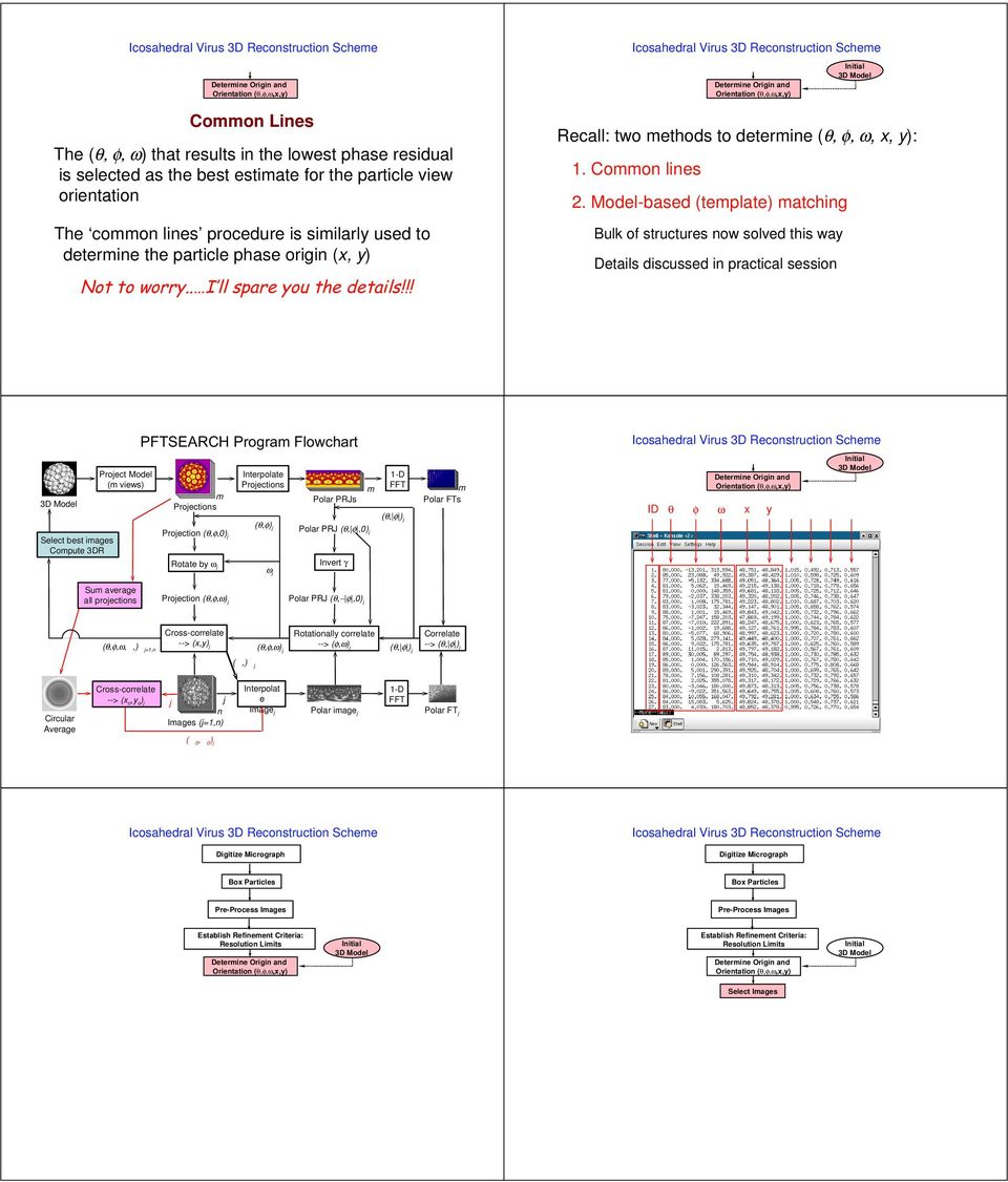 Model-based (template) matching Bulk of structures now solved this way Details discussed in practical session Project Model (m views) m Projections Interpolate Projections Polar PRJs m -D FFT (θ, φ )