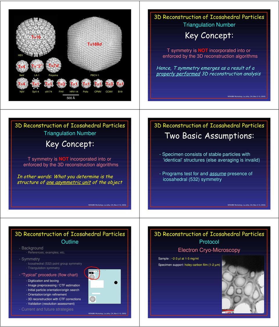 CCMV B9 RAMM Workshop, La Jolla, CA (ov -0, 005) 500 Å  " T symmetry is OT incorporated into or enforced by the D reconstruction algorithms % " & '( % ) * " - Specimen consists of stable particles