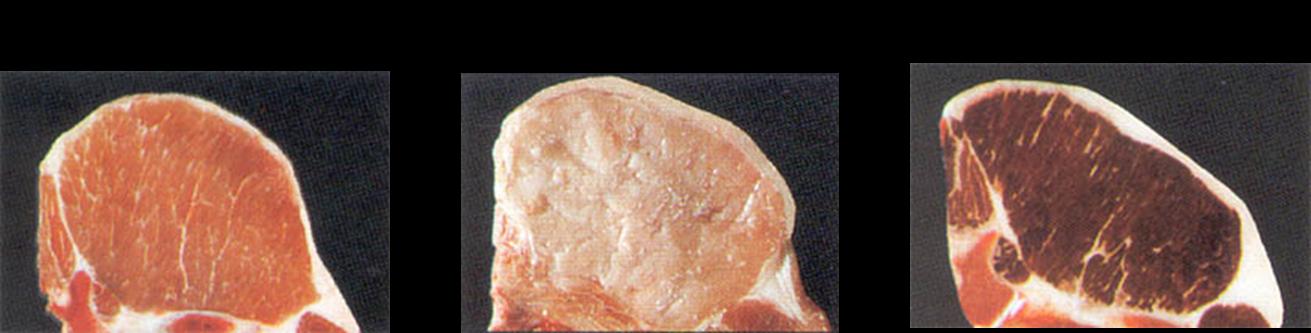 Ποιότητα κρέατος (α) Φωτογραφίες δειγμάτων κρέατος των τύπων RFN, PSE και DFD.