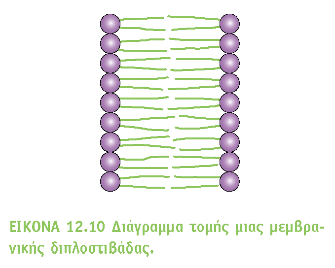 BIOXHMEIA, TOMOΣ I