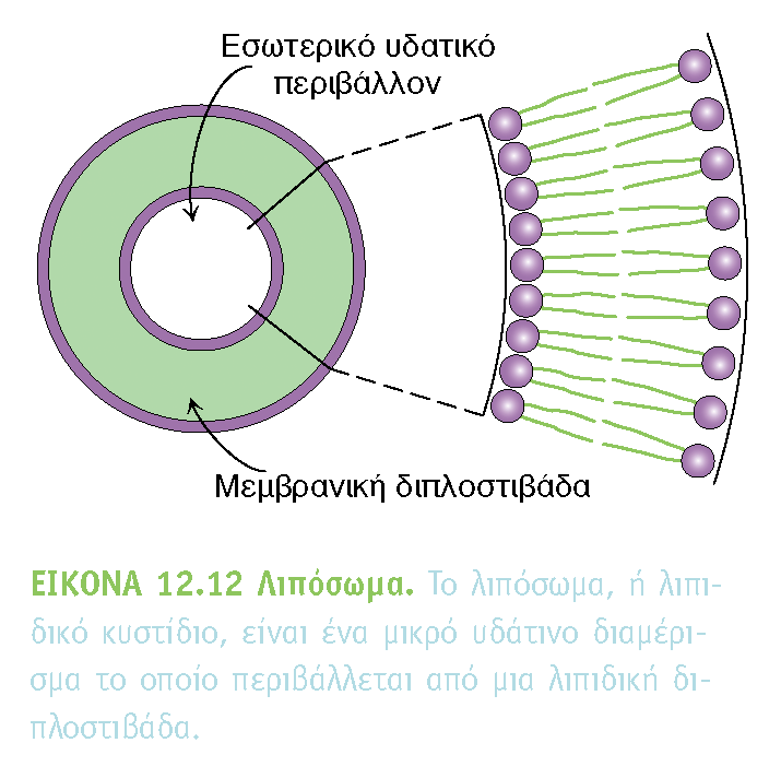 BIOXHMEIA, TOMOΣ I