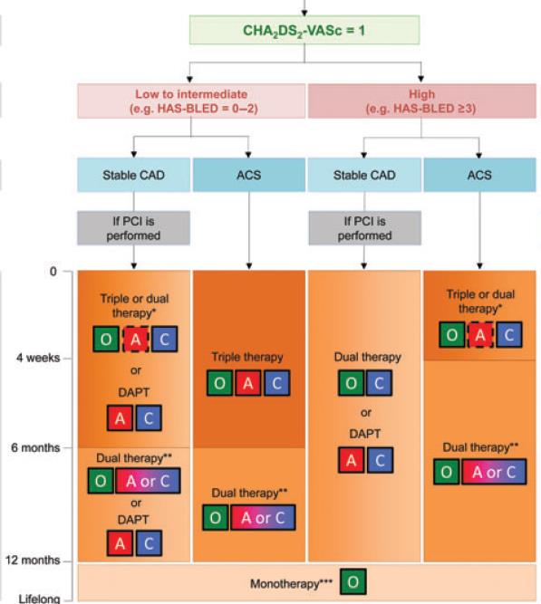 Antithrombotic management in AF and ACS/PCI Low to