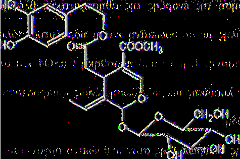 διυδροξυ φαινυλαιθανόλη και ένα οξύ το οποίο είναι γνωστό ως ελενολικό οξύ (Εικ. 15) (Konno et al., 1999).