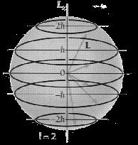 για l = 2: m l = 2, 1, 0, +1, +2 L z = ±2ħ, ±1ħ, 0 2l+1 διαφορετικές τιμές Η κβάντωση στις τιμές