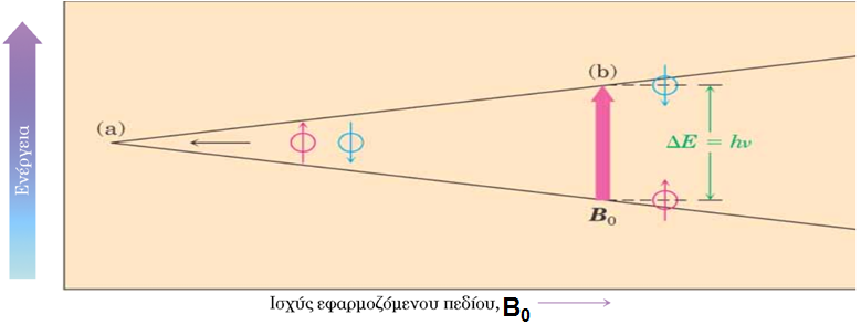 Όταν ένα σύνολο από τους προηγούμενους πυρήνες βρεθεί μέσα σε ένα μαγνητικό πεδίο, η πλειονότητα θα βρεθεί σε κατάσταση α-spin.