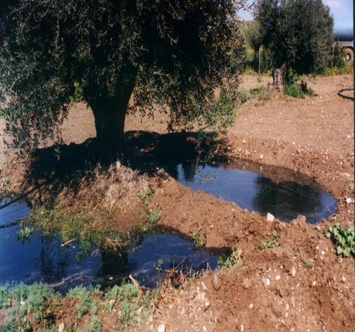 Αγροτικά κτίρια και περιβάλλον Αναπτύσσοντας ένα υγιές περιβάλλον για τους ζωντανούς οργανισμούς (ζώααλλάκαιεργαζόμενους) Στέγαση ζώων