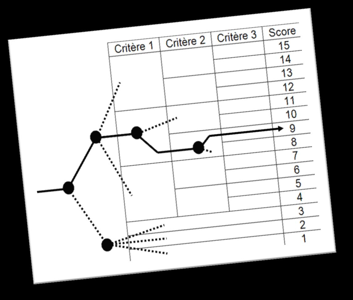 2.4.4 Seuils de réalisation et scores correspondants Voici comment progresse le juge dans cette grille :