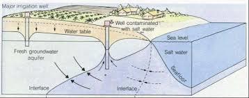 Εικόνα 2.5: Επιπτώσεις ανεξέλεγκτης άντλησης Πηγη: (http://holytrinity.faithweb.com/pon-ecology/w03-water-b.htm) 2.6.