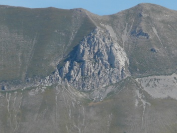 Στην πρώτη φωτογραφία εξωφύλλου της ιστοσελίδας αυτής εμφανίζεται σε μια πλαγιά της καρστικής λεκάνης La Piana di Castelluccio, σε υψόμετρο ~ 1400 m, (υψομ.