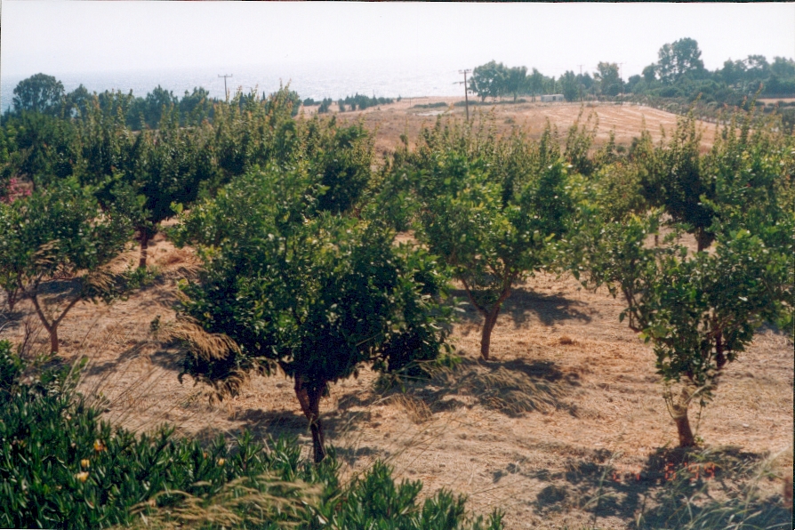 Η απομάκρυνση του αζώτου για την Εγκατάσταση Επεξεργασίας Λυμάτων του Δήμου Κω κρίνεται ως τελείως απαραίτητη εξαιτίας του ότι ο τελικός αποδέκτης είναι η θάλασσα.