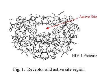 Φάρμακα κατά του HIV Η τρέχουσα στρατηγική που εφαρμόζεται στοχεύει στο να ξεπεράσει την ανθεκτικότητα του HIV στους υπάρχοντες αναστολείς της πρωτεάσης.