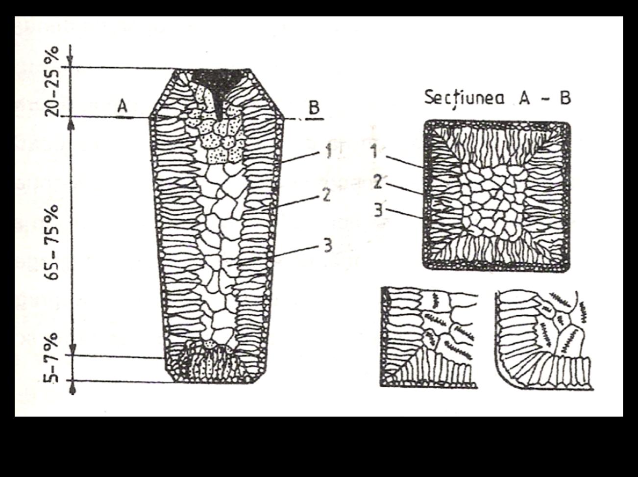 STIINTA MATERIALELOR An I M, MTR, AR Curs 4 Structura lingoului; partea superioara = maselota 1 zona grauntilor marginali; 2 zona cristalitelor columnare; 3 zona cristalitelor centrale 1 zona